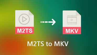 M2TS in MKV konvertieren