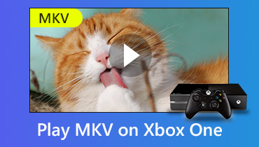 MKV-Videodateien auf Xbox One abspielen