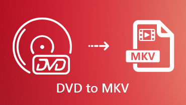 DVD in MKV umwandeln