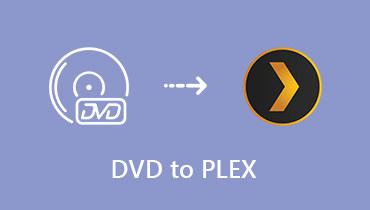 DVDs für Plex rippen