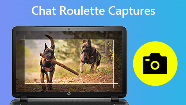 Chatroulette-Aufnahmen