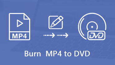MP4 auf DVD brennen