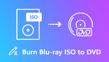 Blu‑ray‑ISO auf DVD brennen