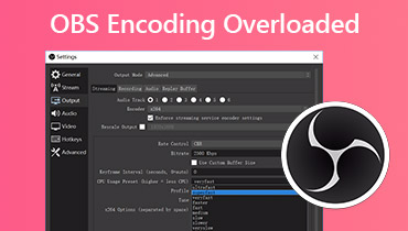 OBS-Fehler „Encoding Overloaded“