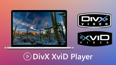 DivX-Player
