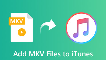 MKV zu iTunes hinzufügen
