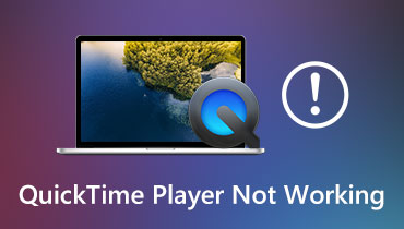 QuickTime Player funktioniert nicht