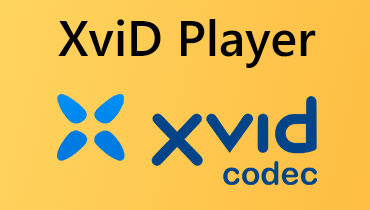 XviD‑Player