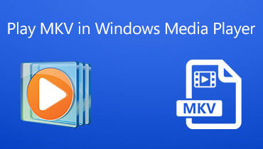 MKV in Windows Media Player abspielen