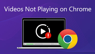 Videos werden in Chrome nicht abgespielt