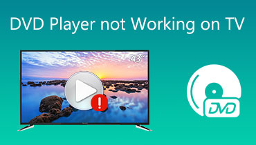 DVD‑Player funktioniert auf dem Fernseher nicht