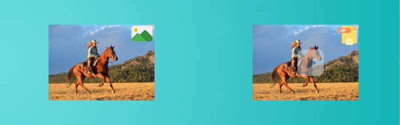 GIF aus Bildern erstellen