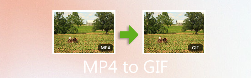 MP4 in GIF