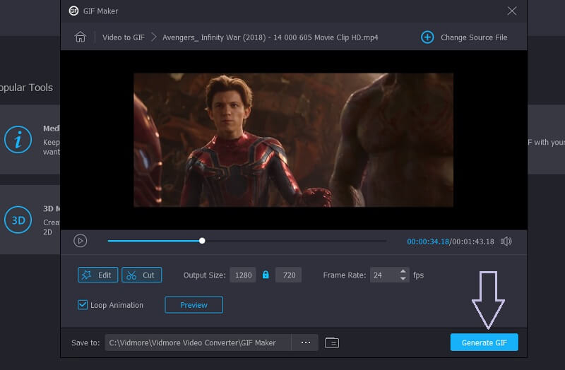 Vidmore VC Video als GIF speichern