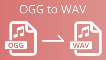 OGG in WAV