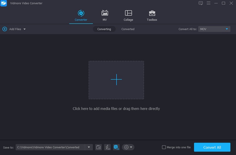 Dateien zu Vidmore hinzufügen