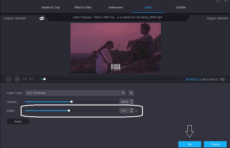 Audioverzögerung der Datei in Vidmore anpassen
