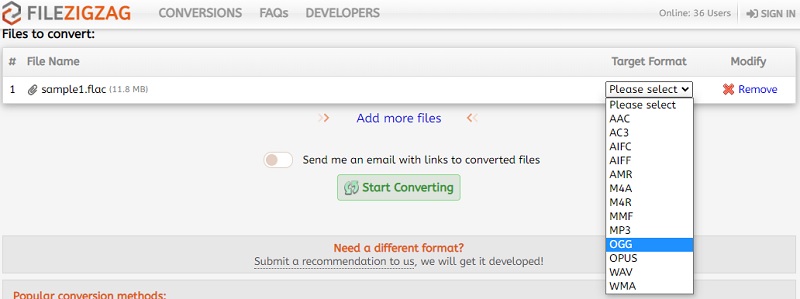FileZigZag Ausgabeformat wählen