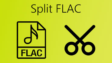 FLAC teilen S