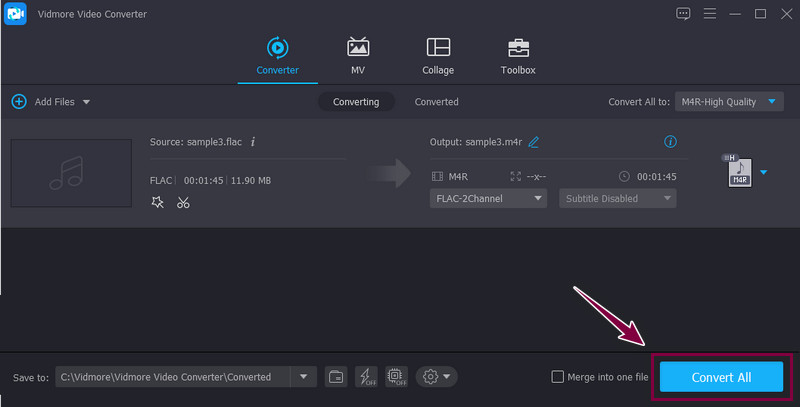 Vidmore Konvertierung starten