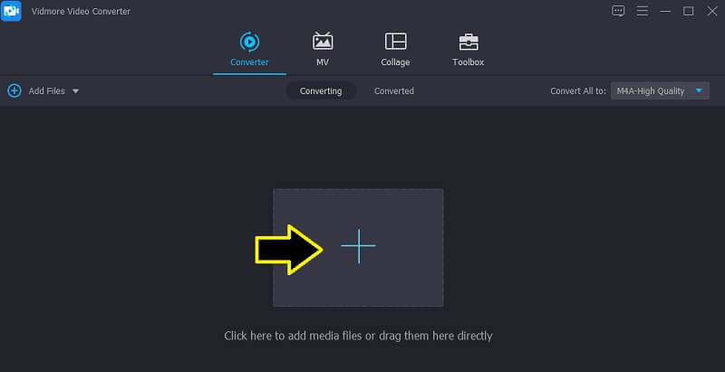 Vidmore VC M4A-Datei importieren