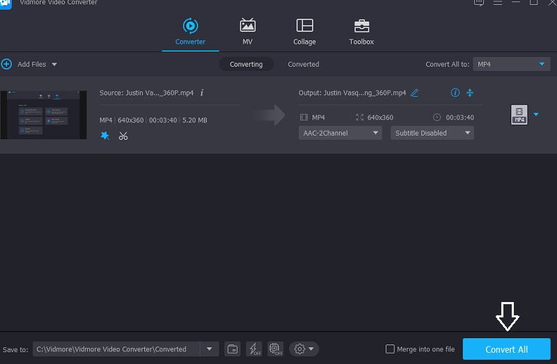 MP4-Datei konvertieren Vidmore