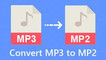 MP3 in MP2