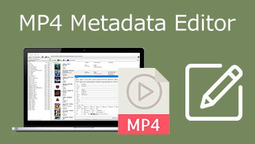 MP4-Metadaten-Editor