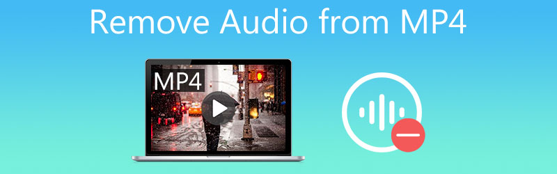 Audio aus MP4 entfernen