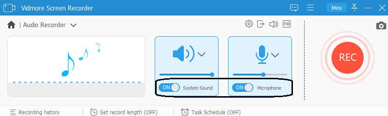 Starten Sie die Aufnahme Vidmore
