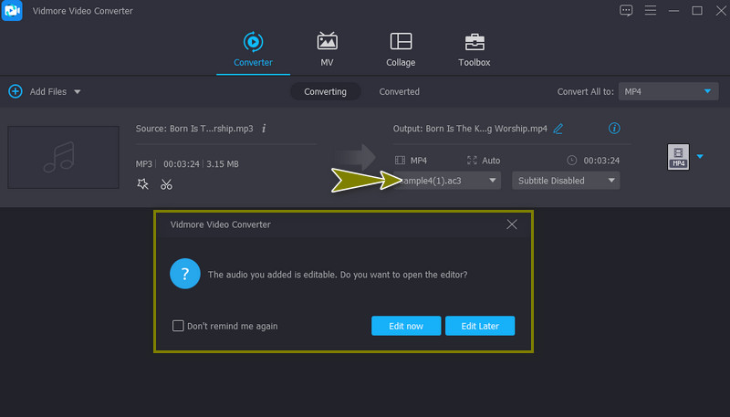 Vidmore Audio hinzufügen und bearbeiten