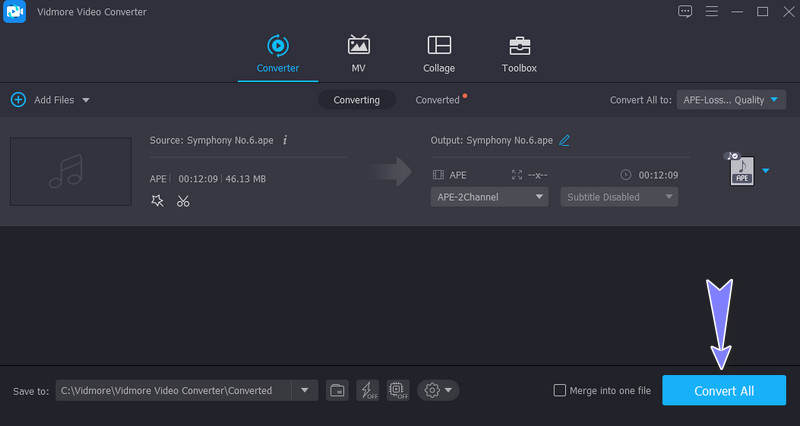 Vidmore APE in MP3 konvertieren