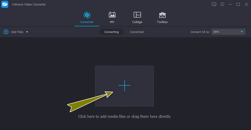 Vidmore Videodatei importieren