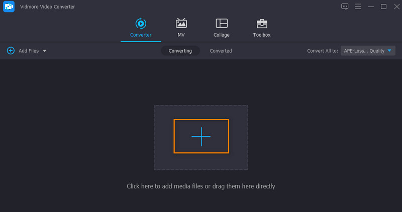 Vidmore Audiodatei laden
