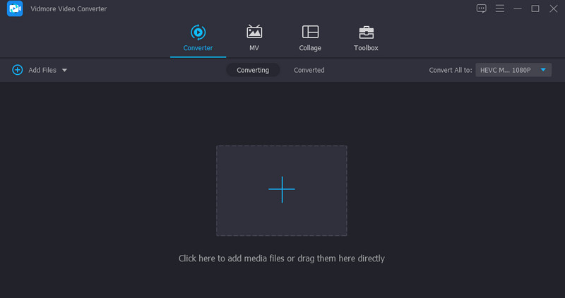 Vidmore Medien laden