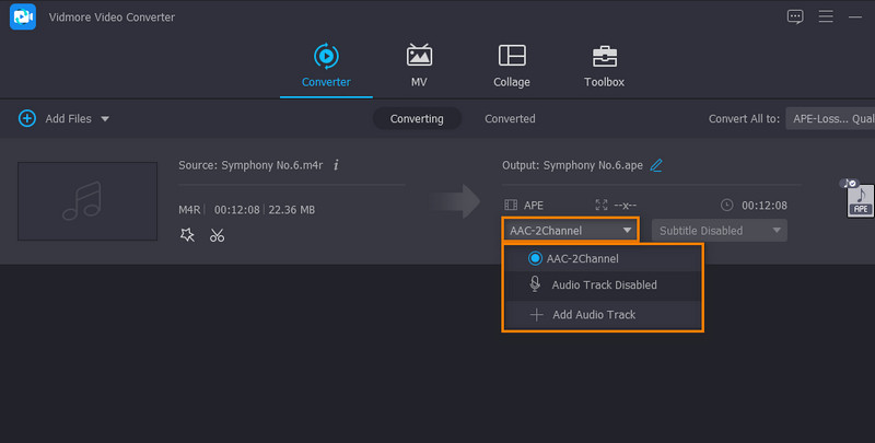 Vidmore Audio entfernen