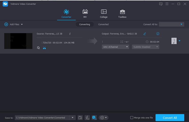 TS-Dateien konvertieren Vidmore