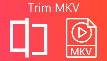 MKV TRIMMEN