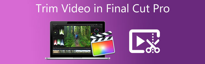 Video in Final Cut Pro schneiden