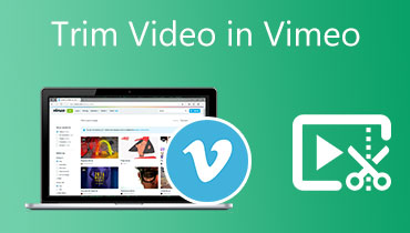 Video in Vimeo trimmen