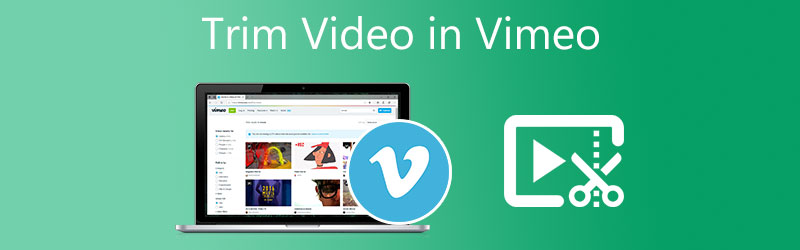 Video in Vimeo trimmen