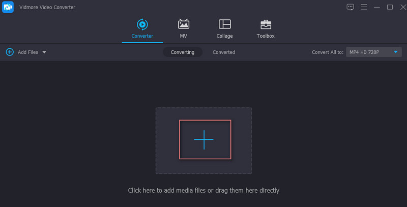 Vidmore MKV zum Trimmen hinzufügen