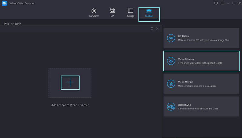 Vidmore TikTok‑Video hinzufügen