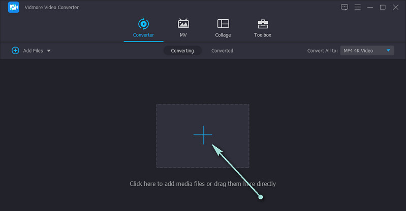 Vidmore Video hinzufügen