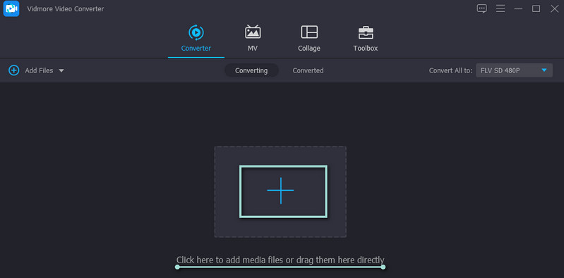 Vidmore FLV importieren