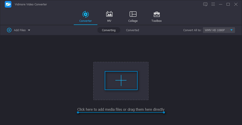 Vidmore M4V importieren
