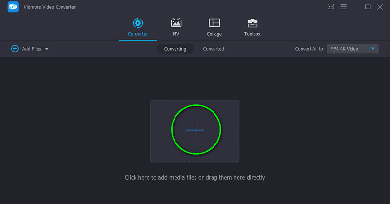 Vidmore Videos importieren