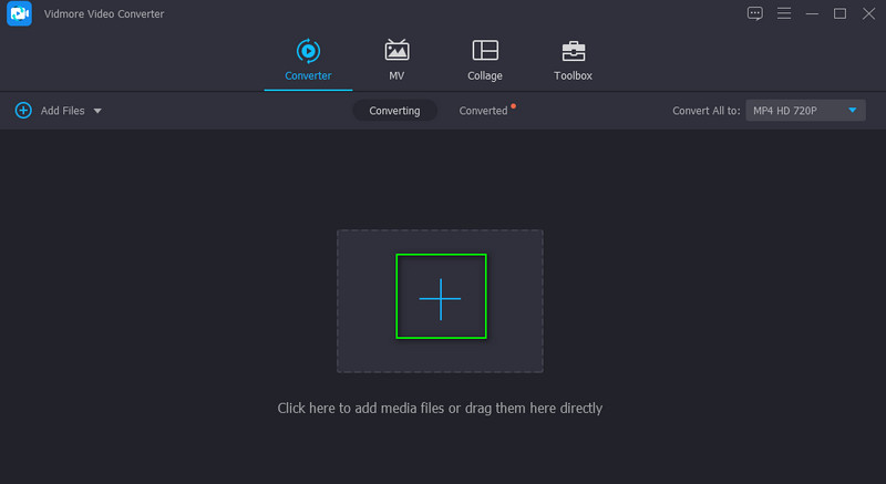 Vidmore MP4‑Video laden