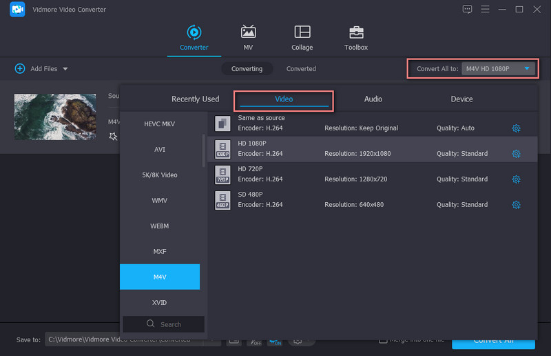Vidmore – Formate auswählen