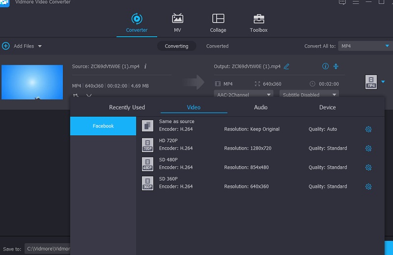 Facebook mit Vidmore wählen